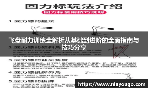 飞盘耐力训练全解析从基础到进阶的全面指南与技巧分享